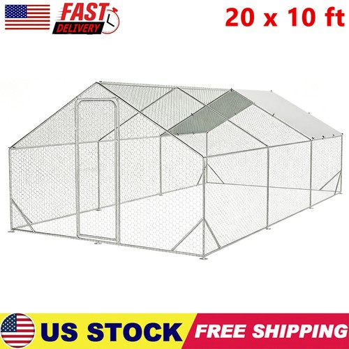 Large metal chicken - 20,