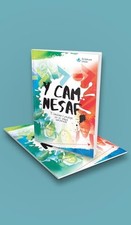 Y Cam Nesaf (2025) (single) 9781837340002 NEW Free UK Delivery
