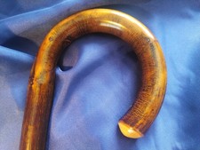 CHESTNUT FLAMED GENTLEMAN