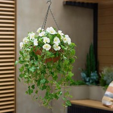 Garden Reflections Pre-Lit