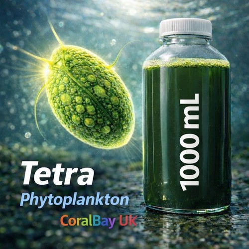 Litre live phyto - live,