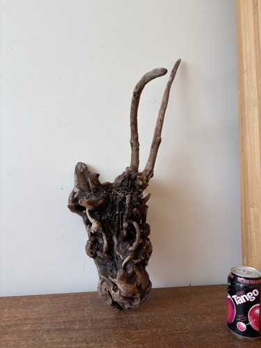 Driftwood piece root - piece, tangle