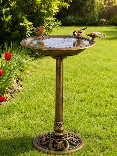 Outdoor garden bird - outdoor,