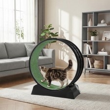 Cat Exercise Wheel&Treadmill