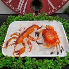 Artificial Fake Faux Food