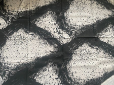 Harlequin *ENIGMATIC* 1.5