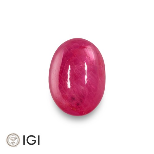 Igi certified burmese - burmese, ruby