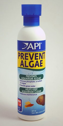 Api prevent algae 237ml - api,