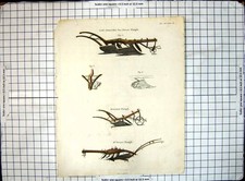 Antique Old Print Lord Somervilles Two Furrow Plough Beverstone Mr Turners