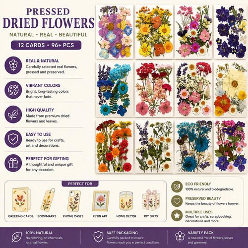 Real dried press flowers - dried,
