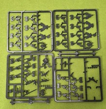 Warhammer O/W Dwarf Regiment