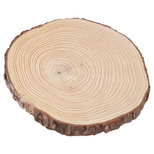 Wood slices - wood,
