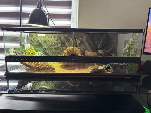 Exo terra terrarium - exo, 90x45x30