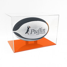 Rugby Ball Display Case
