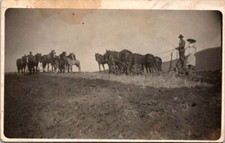 RPPC Postcard Woman Large Hat