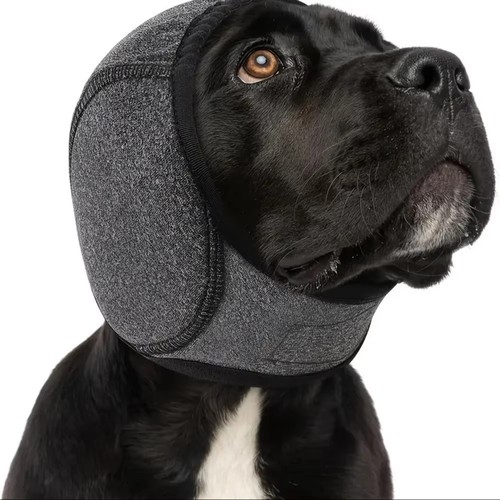 Noise canceling pet ear - noise-canceling,