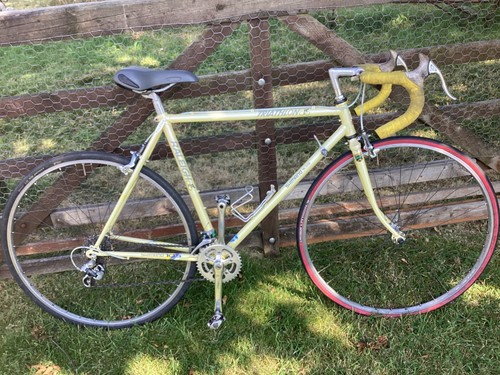 Raleigh trathlon 531 - trathlon, steel