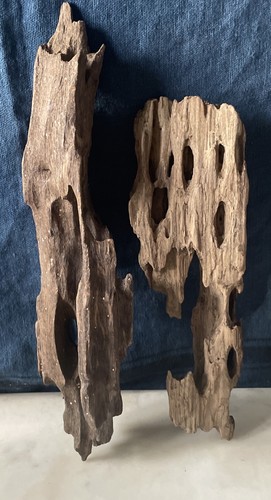 Driftwood two beautiful - driftwood,