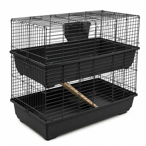 Rabbit guinea pig large double - pig,