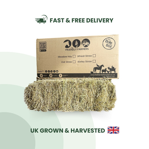 Hay guinea pig - hay, rabbit