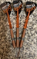 Target Raymond Van Barneveld 24G Tungsten darts