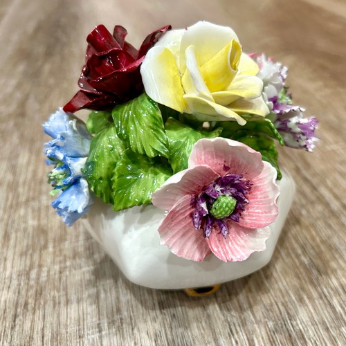 Radnor bone china porcelain - bone,