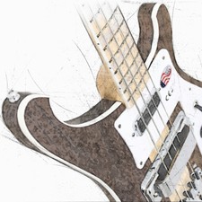 Rickenbacker Bass Guitar