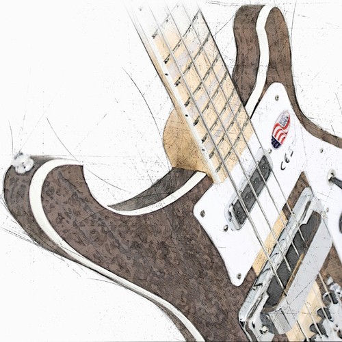 Rickenbacker bass guitar - rickenbacker,