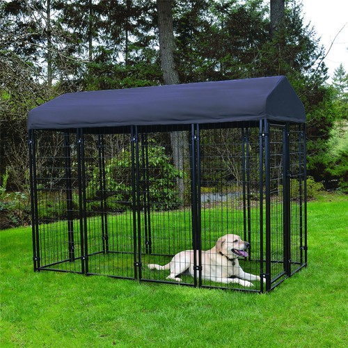 Xxl outdoor dog - walk, in