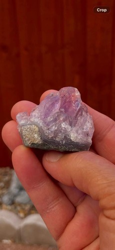 Beautiful amethyst cluster - amethyst,