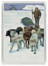 SIBERIAN HUSKY SLED DOG FRIDGE