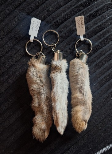 Taxidermy lucky rabbits foot - lucky,