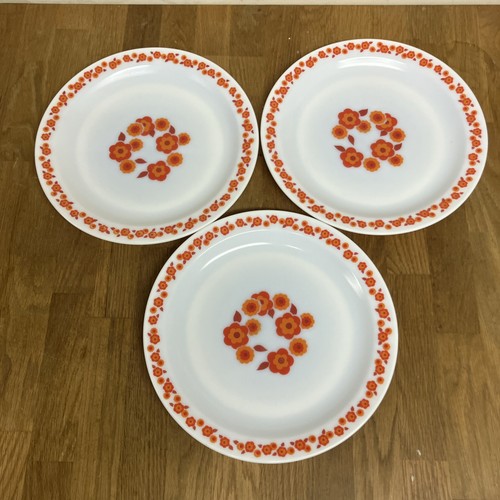 Arcopal france dinner plates - dinner,