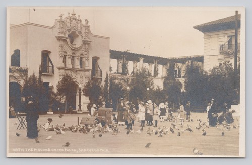 Pigeons the plaza san - pigeons,
