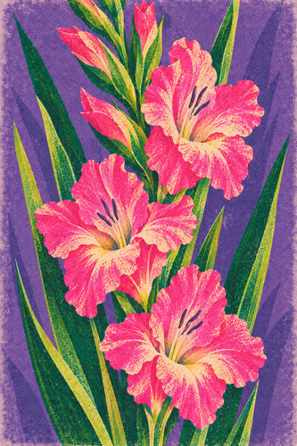 Gladiolus risograph print - 43.,