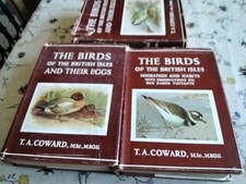 Wayside & Woodland Birds +