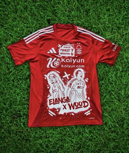 Nottingham forest home - nottingham,