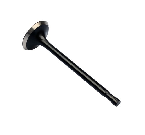 Exhaust valve for honda - for, gl
