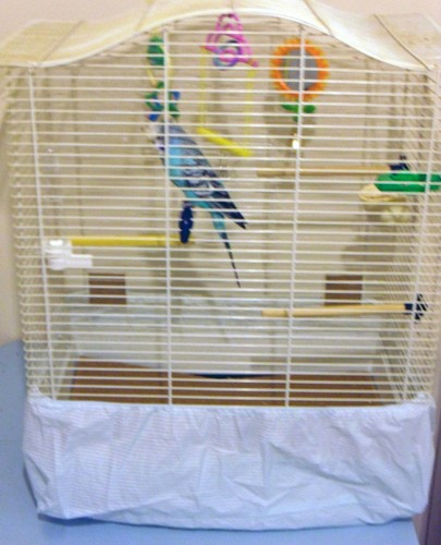 Cage tidy for bird cages - cage,