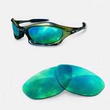 newpolar replacement polarized