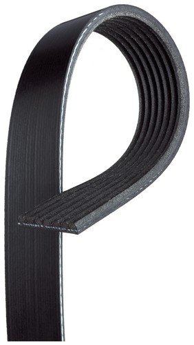 7pk1605 gates ribbed belt - 7pk1605,