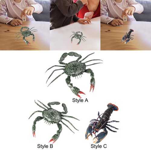 Animal model sea - animal,