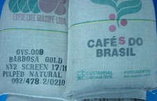 Brazilian Santos Arabica Green Coffee Beans Screen 17/18 size -  Free Delivery