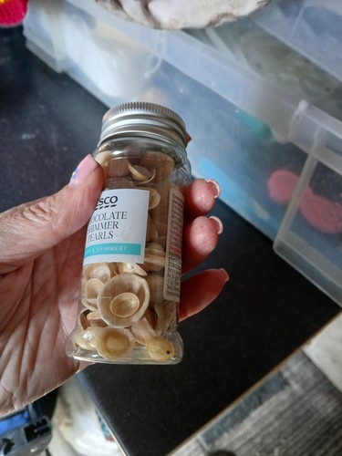 Small sea shells - small,