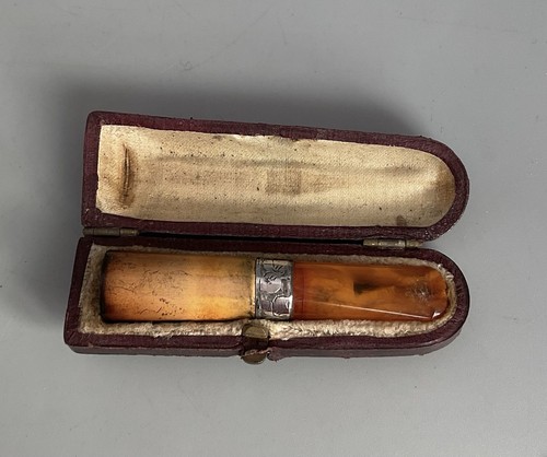 Cased meerschaum amber - meerschaum, ?