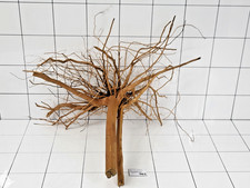 Premium Aquarium Natural Azalea Spider Wood Root Driftwood Fish Tank Decor 961