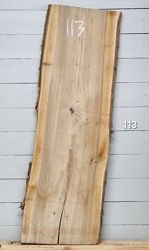 Elm live edge timber 1230mm - elm,