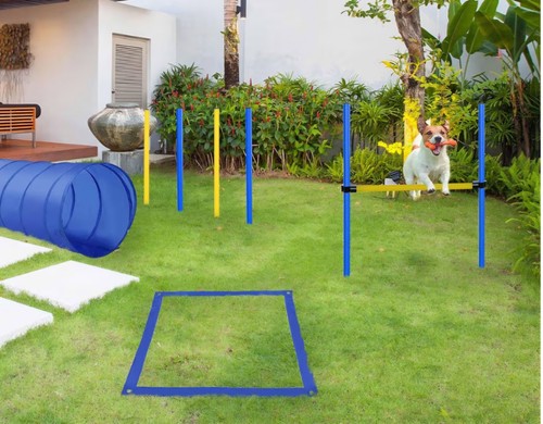 Dog agility weave - dog, tunnel