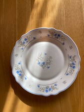 Arcopal Blue Printed Plates -