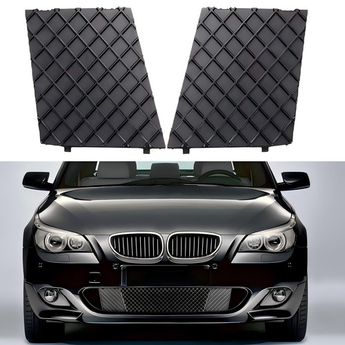 Front bumper cover lower - bumper, mesh